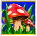 Magic Toadstool
